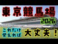 【東京競馬場攻略2026】距離別の強めの特徴を徹底解説 馬券に役立つ有利な脚質、枠、騎手、血統など買い方を攻略