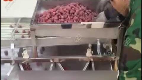 Red Date Sorting Machine|Automatic Sorting Grading Machine For Jujube