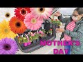 Gardening While In Quarantine | Mother&#39;s Day