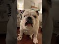 don’t click on the sound