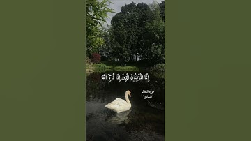 {إِنَّمَا ٱلۡمُؤۡمِنُونَ ٱلَّذِينَ إِذَا ذُكِرَ ٱللَّهُ وَجِلَتۡ قُلُوبُهُمۡ} سورة الانفال المنشاوي