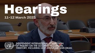 Download Lagu Saladin Sawan | Public Hearings, COI Palestine, East Jerusalem \u0026 Israel, 12/03/2025 MP3