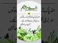 Subha Bakhair #love #virtualuniversityassignmentsolution #ramadangreetings #assignment #quotes
