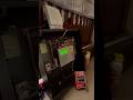 Edwards EST Speaker Strobe Playing the Notifier Slow Whoop Standby Message