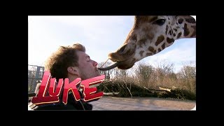 Luke im Zoo  LUKE! Die Woche und ich