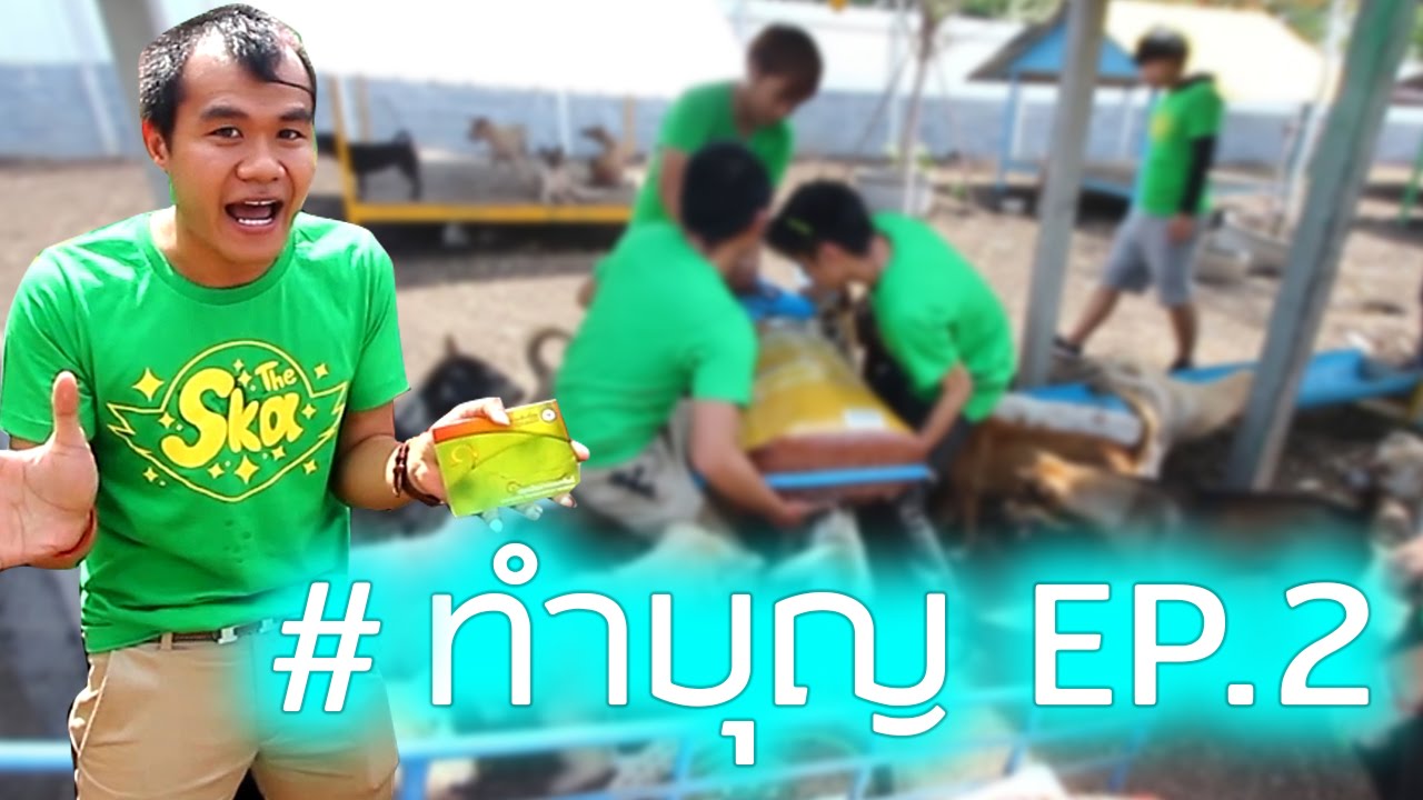 #ทำบุญ EP.2 สุนัขจรจัด บ้านใต้มุ้งฟ้า