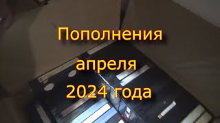 :   2024 