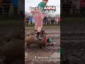 ⚡ Ranking Animals Race Chaos #shorts #animals #ranking #trending #sports #chaos #race #lol #fyp