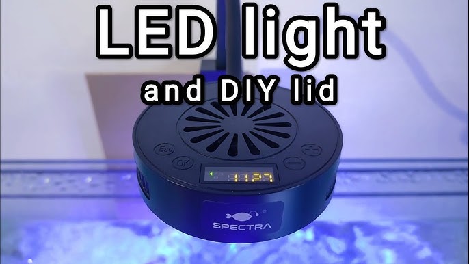 Ciano Aqua 20 With LED Light – Bradlands Pet Supplies