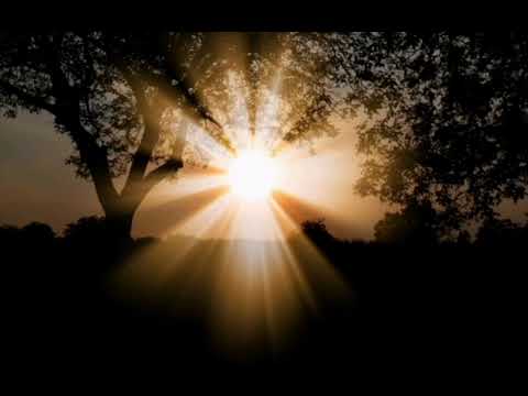 تحليل اسم مشرق 