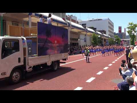 Ｒｉｅ　Ｄａｎｃｏｎｇ　Ｔｅａｍ２－湘南よさこい祭り２０１８