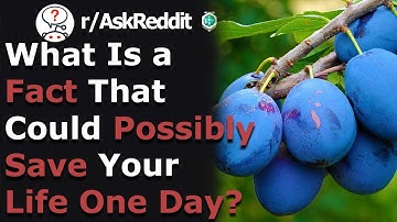 This Unusual Fact Could Save Your Life (r/Askreddit)