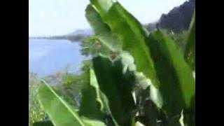 DAVID GRAY -  From Here You Can Almost See The Sea