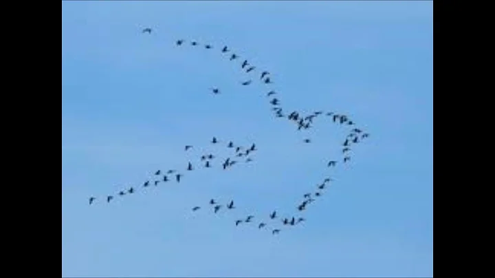 Flying, Alan Simmons, interprt  2 voix par "A port...