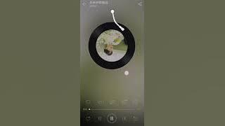 Never Told You-Mark​Tuan ( 从未对你说过)​