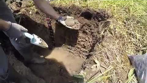 Tutorial for Root Pit Soil Profile Examination