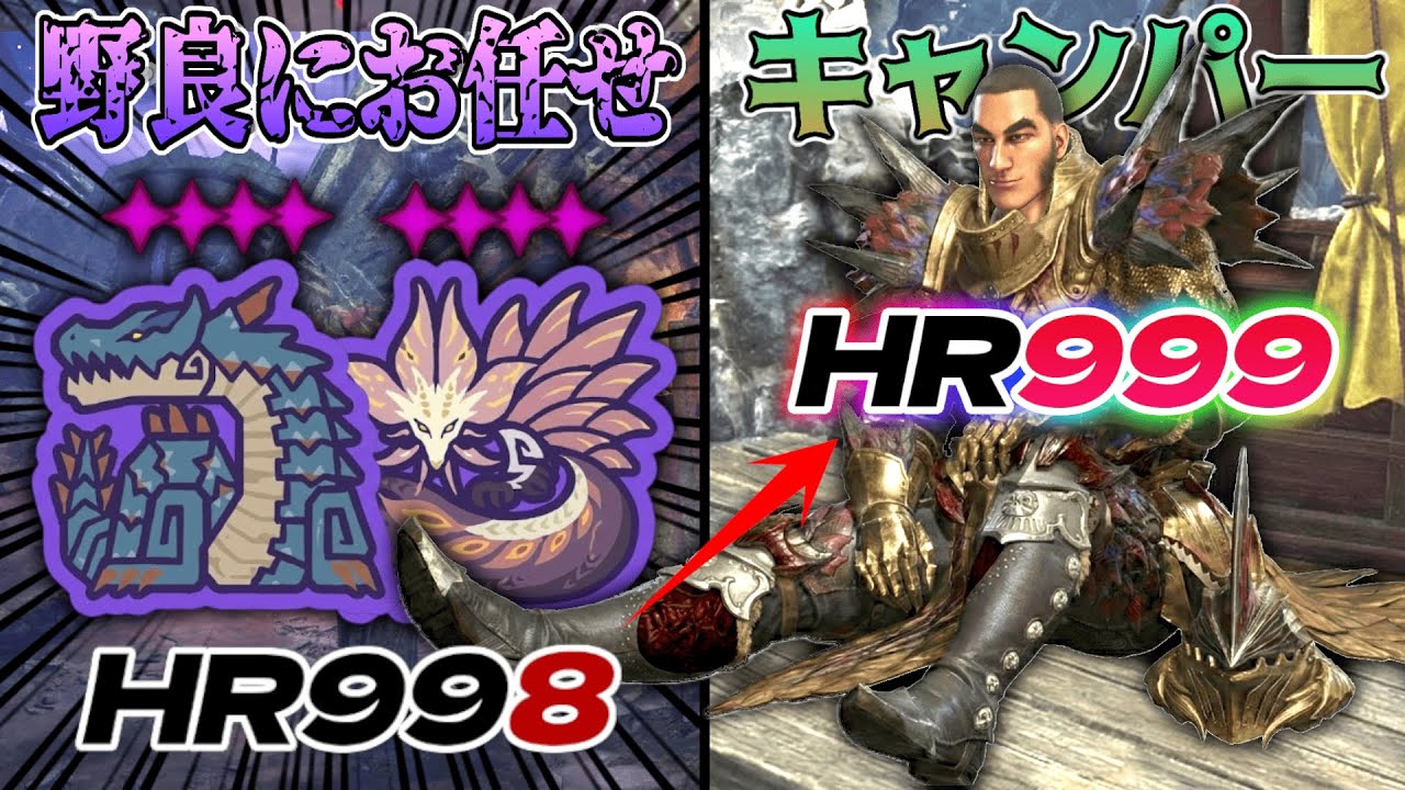 HR999昇格戦で「キャンプ寄生」した結果。野良の予想外の対応に泣いた。【MHWilds/モンハンワイルズ】
