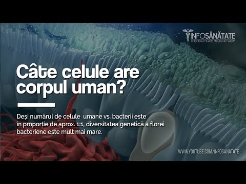 Video: Câte Celule Sunt în Corpul Uman? Tipuri, Producție, Pierdere, Mai Mult