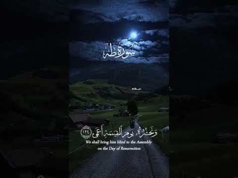 اکتب شی توجرا علیه لايك اشتراك بالقناه