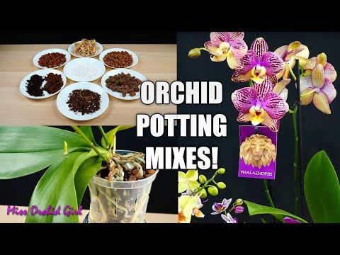 Video: Zalévací směs pro orchideje – Typy pěstebních médií pro orchideje