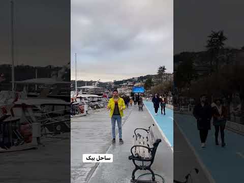 تصویری: راهنمای کامل Motueka، Mapua، & ساحل روبی در جزیره جنوبی نیوزلند