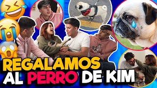 HICIMOS ENOJAR A KIM SHANTAL🤣| damos en adopción a su perro 🐶