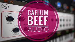 Caelum Audio Beef Detailed Walkthrough
