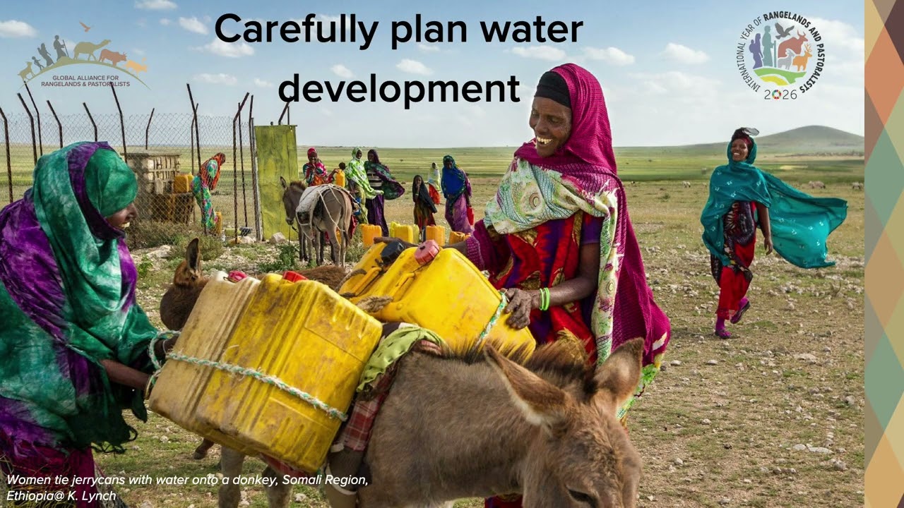 IYRP February 2026 theme: Mobility, Land and Water Security