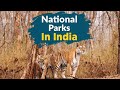 “Wildlife Safari Experience 🐘 | National Park Travel Vlog”