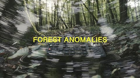 Forest Anomalies: Digitakt Ambient Sounds in Nature