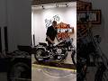 1995 Springer Softail Looks Like It Just Rolled Off The Factory Floor 1995 Springer Softail Looks Like It Just Rolled Off The Factory Floor