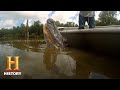 Swamp People: Willie is a One-Man Gator Master (Season 8) | History