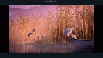 Multi Modal - Prosocial Behavior