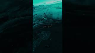 Memories by Maroon 5 #cover #music #love #viral