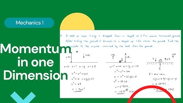 Momentum in one dimension (Edexcel IAL M1 6.1)