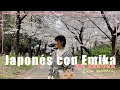 【Japonés con Emika】えみかの日本語講座 #桜編 #sakura Primavera en Japón