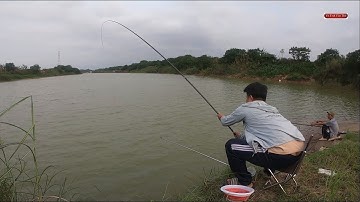 Câu cá sông hồng chia sẻ điểm câu mới nhiều cá chép khủng