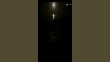 سورة الانسان بصوت سالم الرويلي