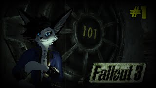 Fallout 3 с модами. Прохождение, часть 1