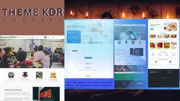 “WordPress Theme Spotlight:  (Full Walkthrough)”
