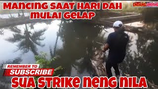 Mancing di kolam saat hari mulai gelap sua neng nila @ENDANGGONDRONG