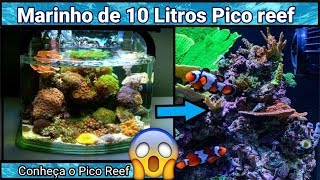 Um Aquário Marinho de 10 Litros? Conheça o Pico Reef