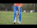 Dog Tricks by Dalmatian Yuma