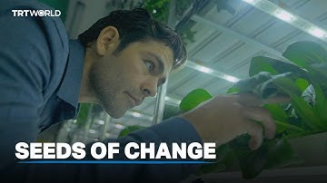 Seeds of Change