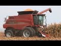 Steve Sauder Farms - Two Case IH 6130 Combines on 10-1-2014