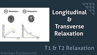 longitudinal relaxation and transverse relaxation | t1 and t2 relaxation in mri | t1 & t2 relaxation