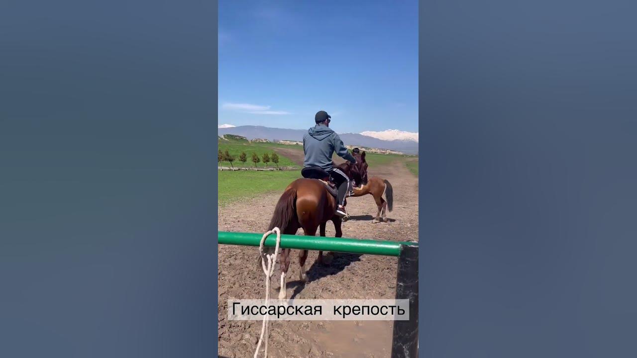 2d анимация гиссарская гора