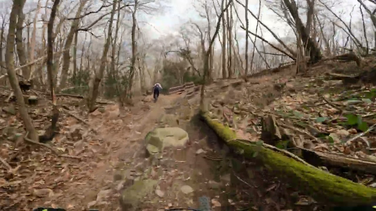 Spina verde "linechoice"