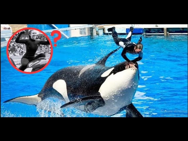 Jessica radcliffe orca attack | Jessica Radcliffe real video| Real Video  #jessica #attack #orca - YouTube