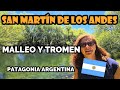 NOS ALEJAMOS DE LOS TURISTAS!!! Río Malleo y lago Tromen, Parque Nacional Lanín